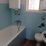 Pavelic קריקווניצה