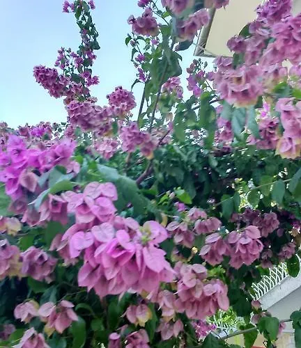 Appartement Pavelic *