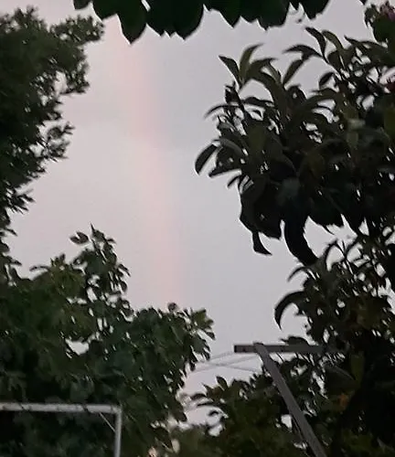 Pavelic * Crikvenica