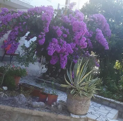 Apartmán Pavelic Crikvenica